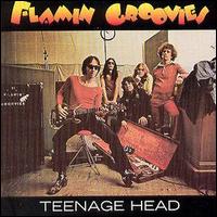 The Flamin' Groovies - Teenage Head lyrics