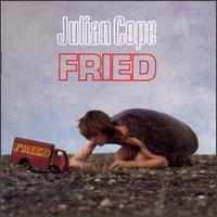 Julian Cope - Fried lyrics