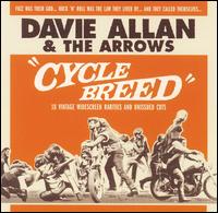 Davie Allan - The Cycle Breed lyrics
