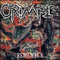 Grimple - Remember lyrics