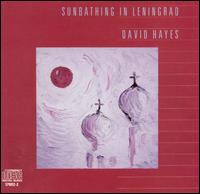 David Hayes - Sunbathing in Leningrad lyrics