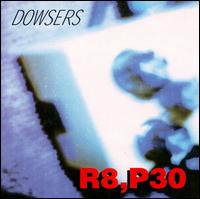 Row 8, Plot 30 - Dowsers lyrics