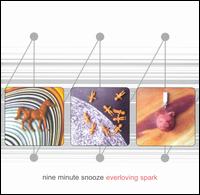 Nine Minute Snooze - Everloving Spark lyrics