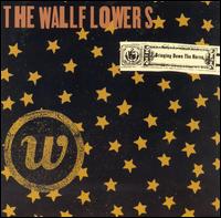 The Wallflowers - Bringing Down the Horse lyrics