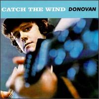 Donovan - Catch the Wind lyrics