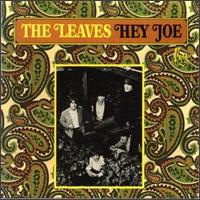 The Leaves - Hey Joe lyrics