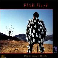 Pink Floyd - Delicate Sound of Thunder [live] lyrics