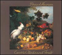 Procol Harum - Exotic Birds and Fruit lyrics