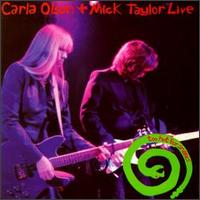 Mick Taylor - Too Hot for Snakes [live] lyrics