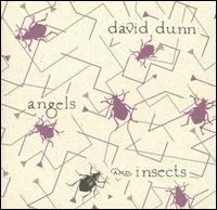 David Dunn - Angels and Insects lyrics