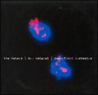 Haters - The Haters/Mr. Natural/Bassifondi Orchestra lyrics