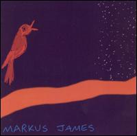 Markus James - Nightbird lyrics