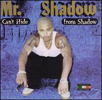 Mr. Shadow - Can't Hide From Shadow lyrics