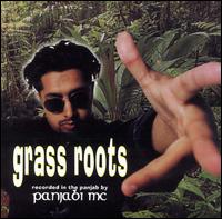 Panjabi MC - Grass Roots lyrics