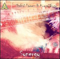 Shahid Parvez - Synergy lyrics