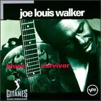 Joe Louis Walker - Blues Survivor lyrics