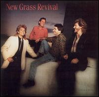 New Grass Revival - Hold to a Dream lyrics
