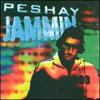 Peshay - Jammin' lyrics