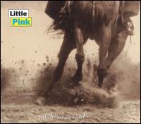 Little Pink - Cul-De-Sac Cowgirl lyrics