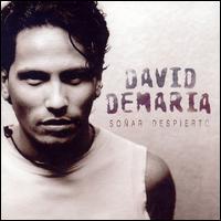David DeMaria - Sonar Despierto lyrics