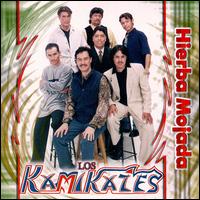 Los Kamikazes - Hierba Mojada lyrics