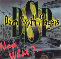 The Down South Players - Now What? lyrics